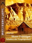 Shane-Flannigan-Schatten-der-Vergangenheit